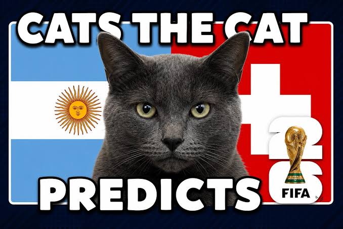 OK9 - Soi kèo Argentina vs Thụy Sĩ: Mèo tiên tri gây sốc tại tứ kết World Cup 2026 - WINVANTA88.SBS